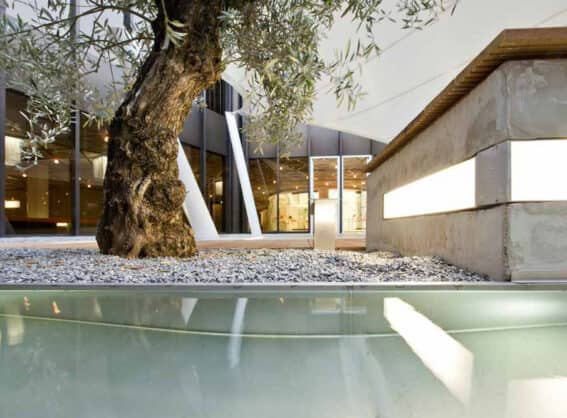 Garten - CCD Congress Center Düsseldorf