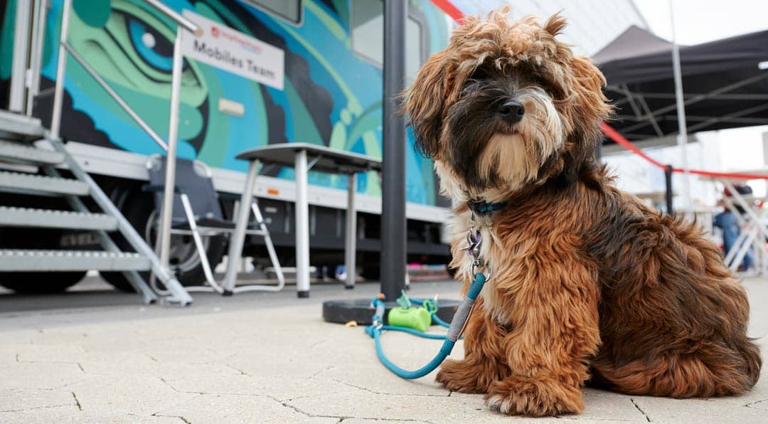 dc-md-outside-0fl-va-dokomi-20210807-271-1080x596px Impfzentrum