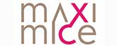 MaxiMice Think Tank